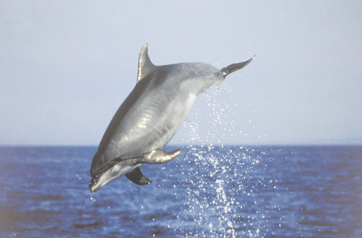 BIKE & BOAT TD Dalmatské ostrovy 20