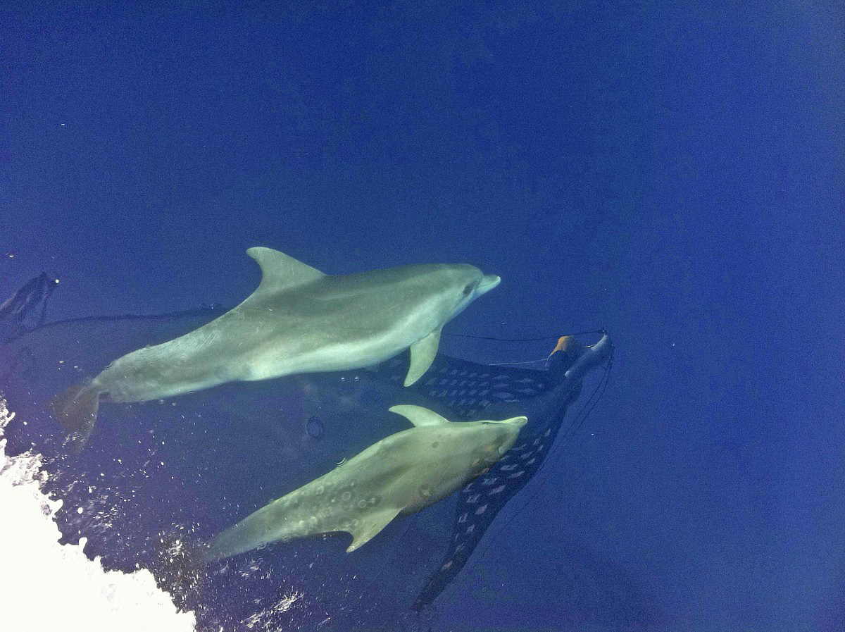 BIKE & BOAT RB Kvarnerské ostrovy 10