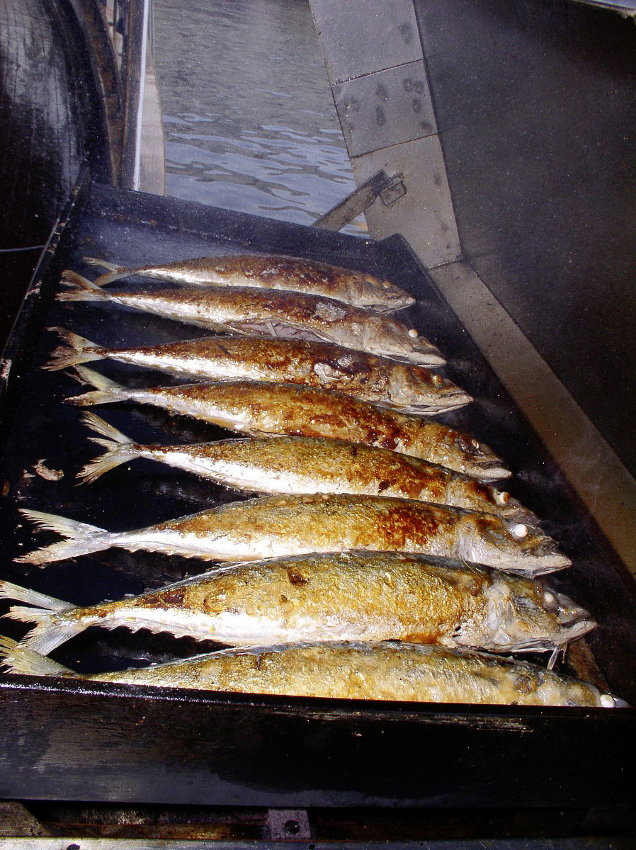 BIKE & BOAT RB Kvarnerské ostrovy 11