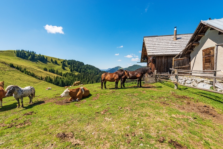 Hotel Bike Safari Dolomity - Terst