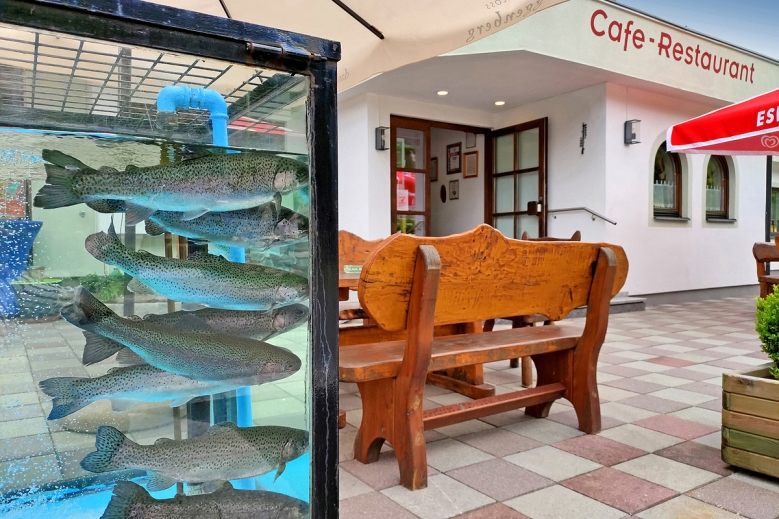 Hotel Hotel Wasserfall 