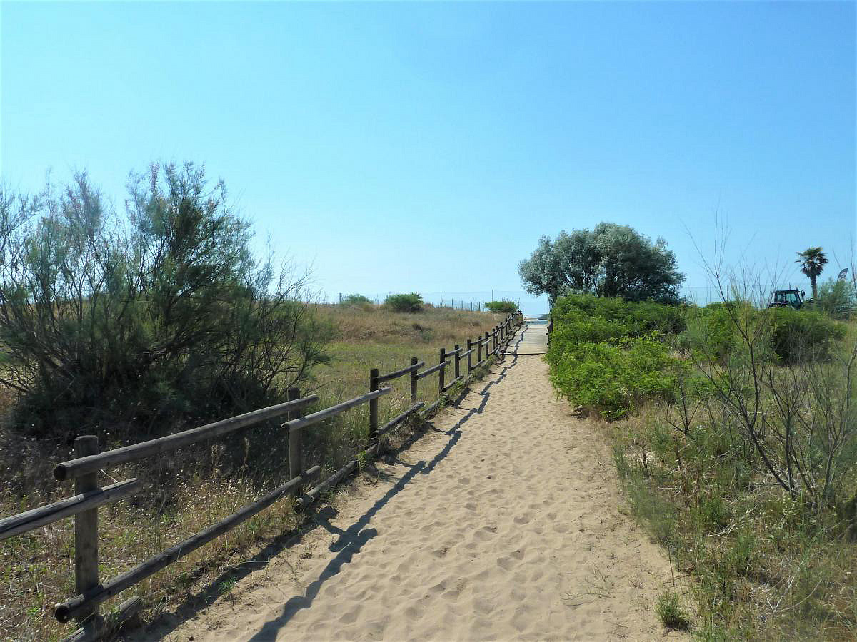 Residence Ariston  10