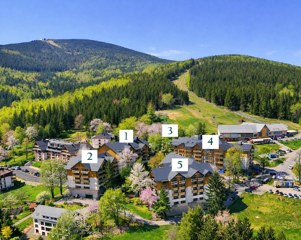 Forest Park Resort & Spa 7