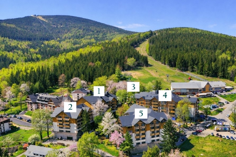 Hotel Forest Park Resort & Spa