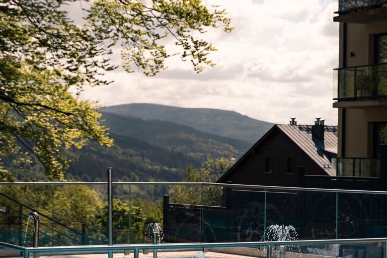 Hotel Forest Park Resort & Spa