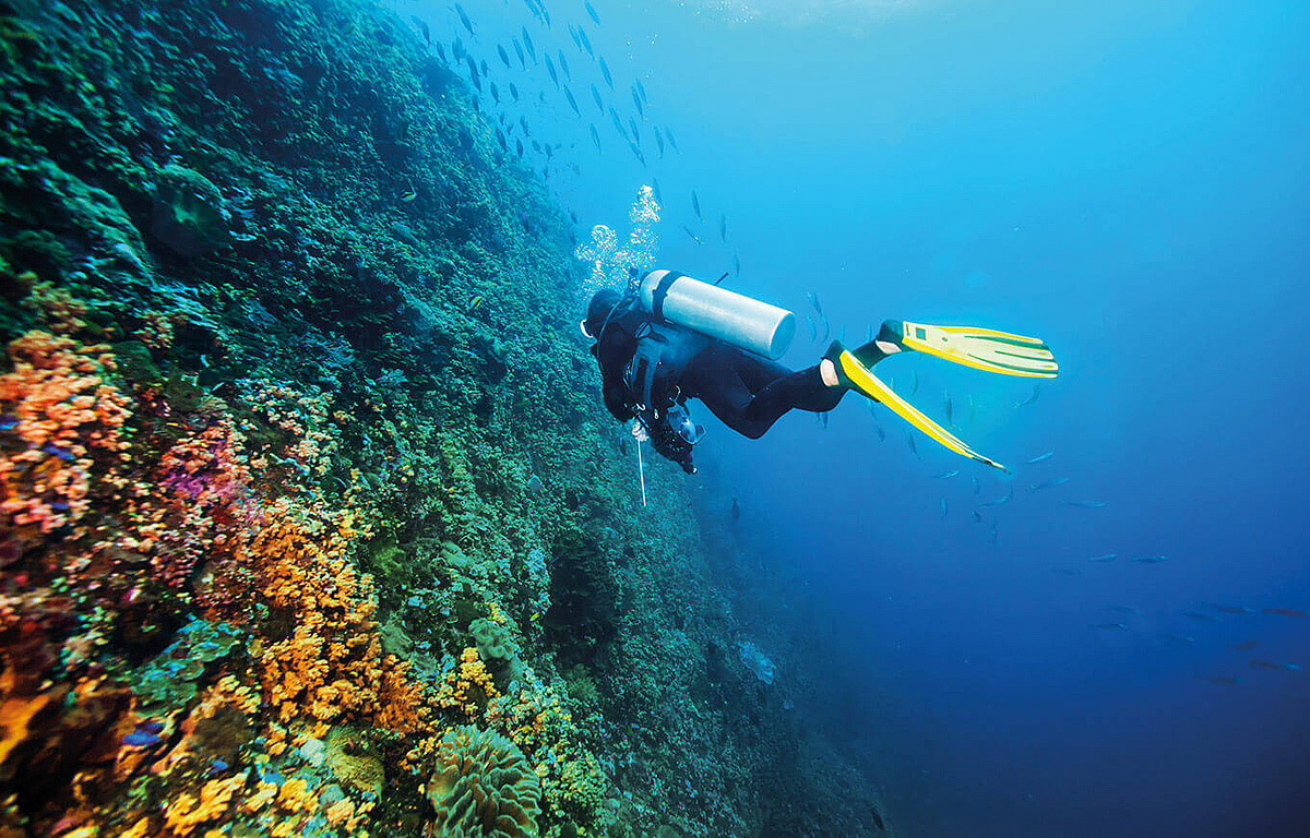 Camping Resort San Marino 29