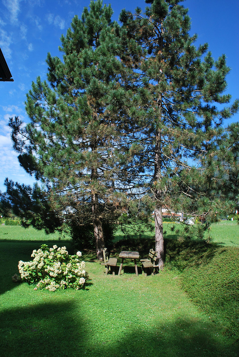 Apartmánový dům Pock  8