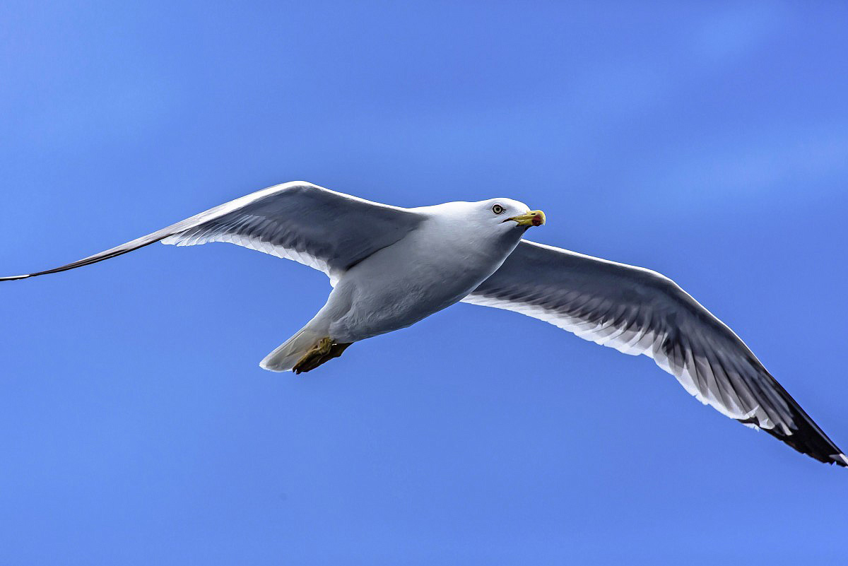 Poklady Jižní Dalmácie 51