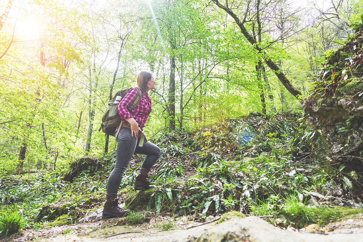 Hotel Tannenpark  17