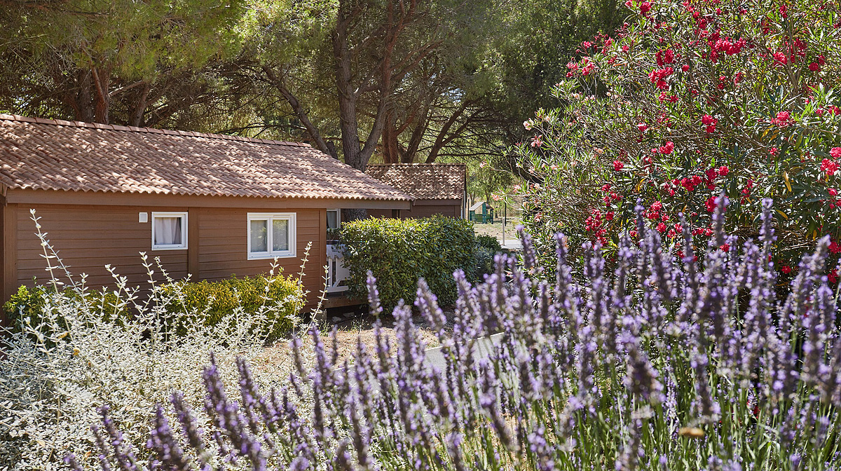 Residence Shangri-La 7