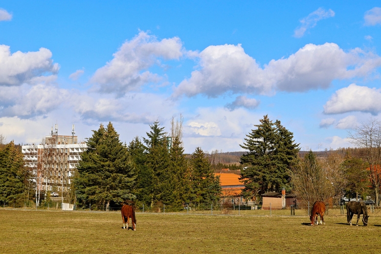 Hotel Carea Harzhotel Allrode 