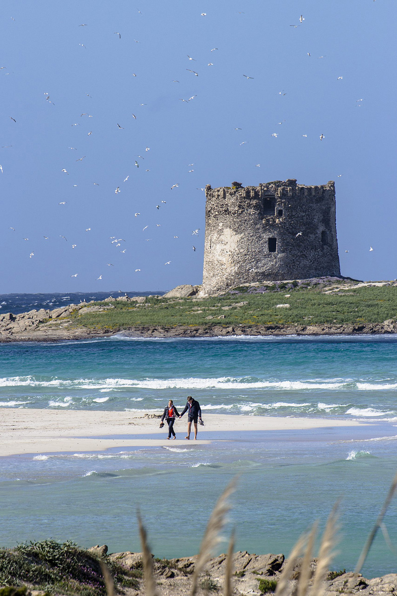 Capo Falcone Charming Apartments 20