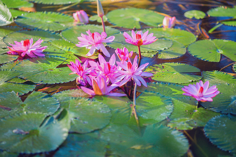 Hunguest Hotel Helios 20