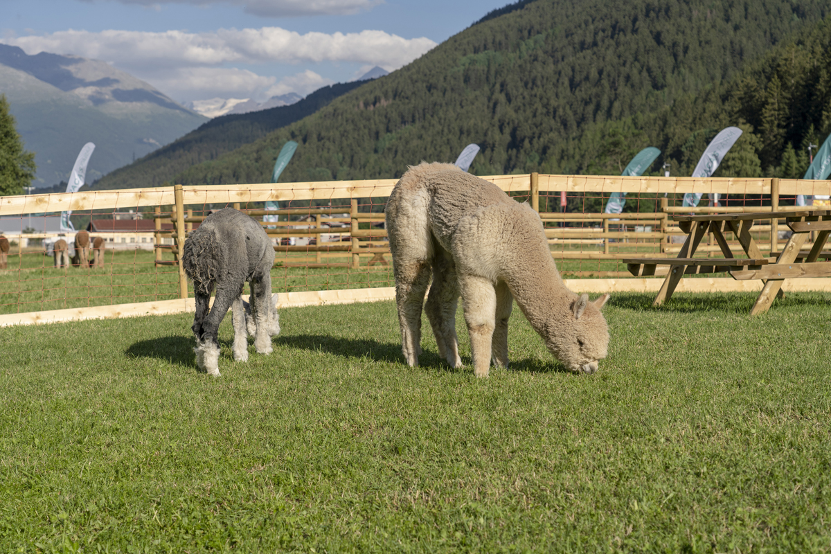 Residence Nira Mountain Resort Futura 6