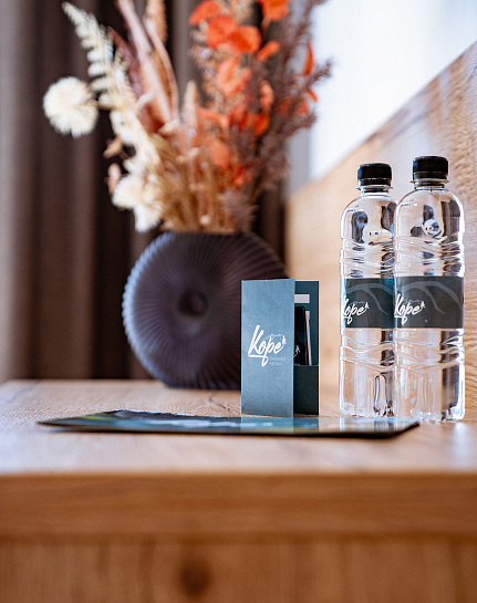 Hotel Grmovškov dom Kope 10