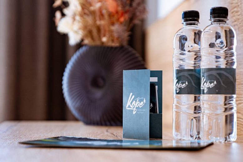 Hotel Hotel Grmovškov dom se skipasem