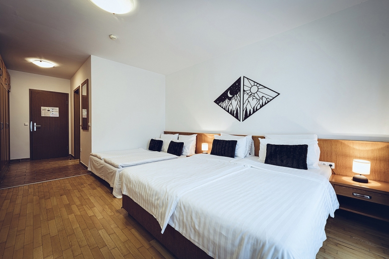 Hotel Wellness & Spa Hotel Bolfenk