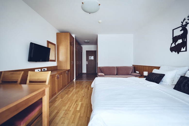 Hotel Wellness & Spa Hotel Bolfenk