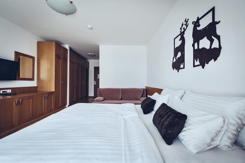 Hotel Wellness & Spa Hotel Bolfenk