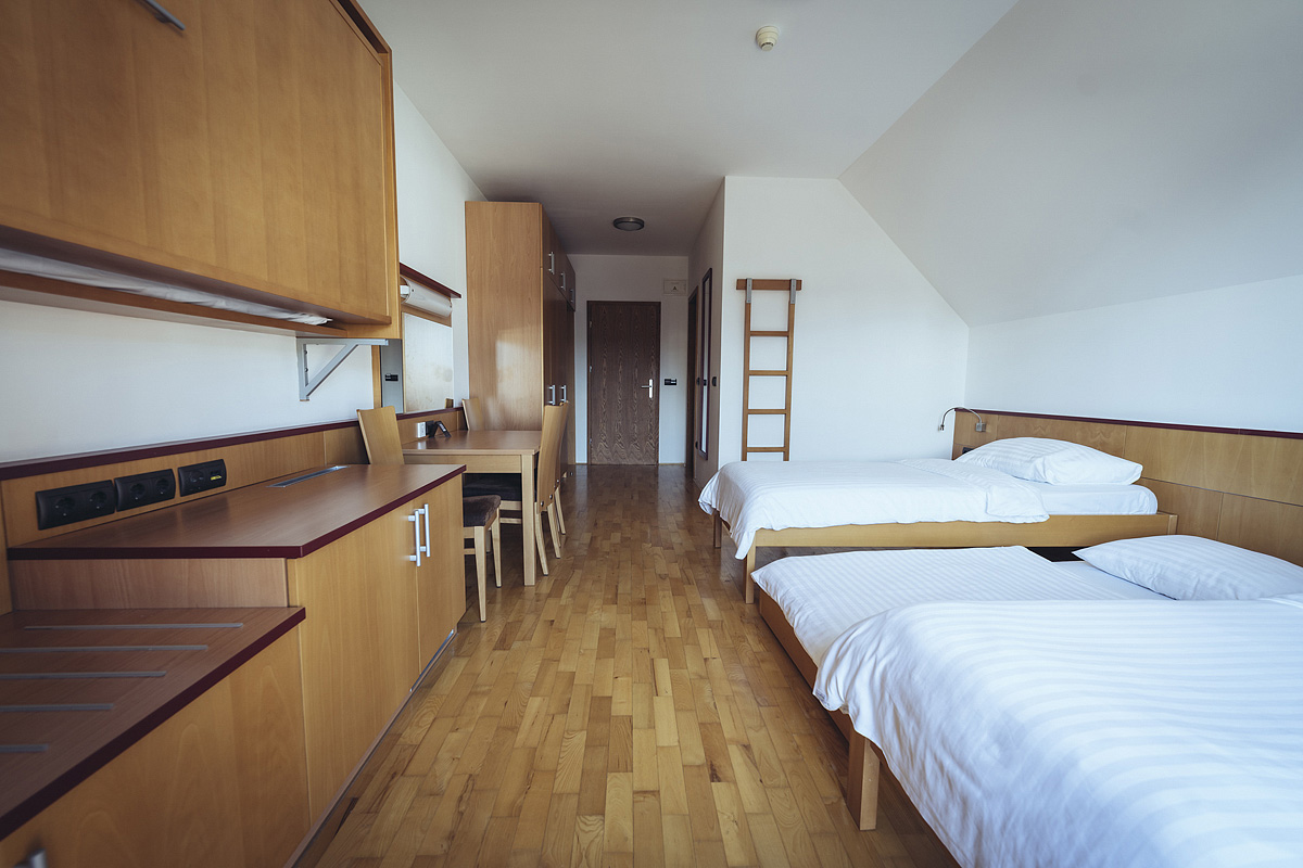 Forest Hotel Videc 3