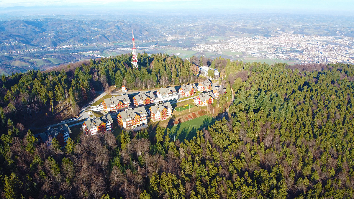 Forest Hotel Videc 4