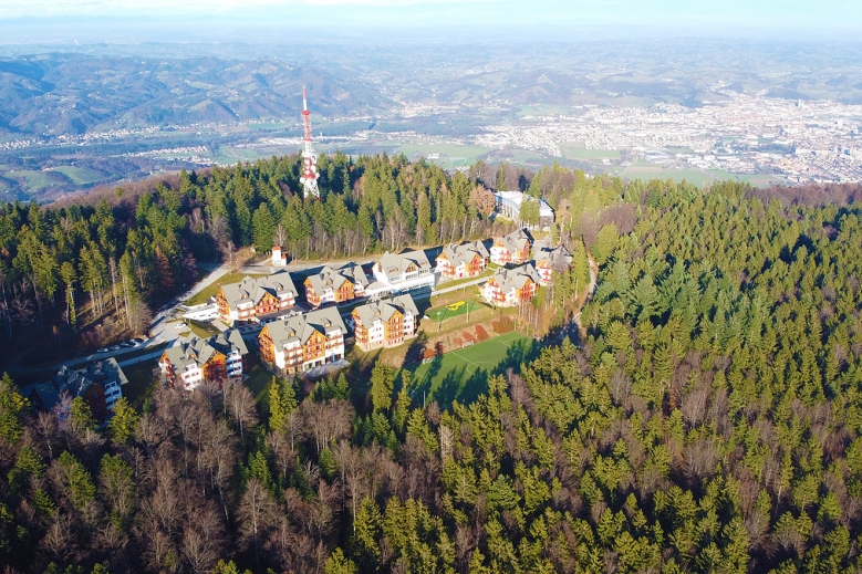 Hotel Forest Hotel Videc