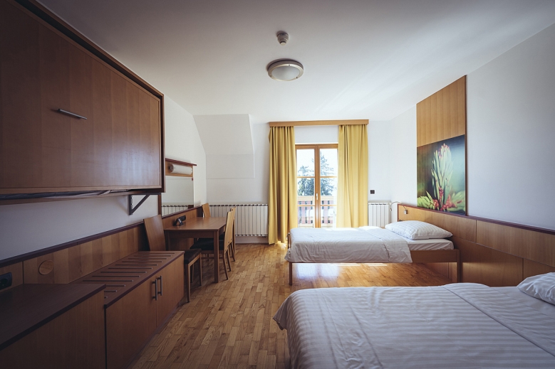 Hotel Forest Hotel Videc