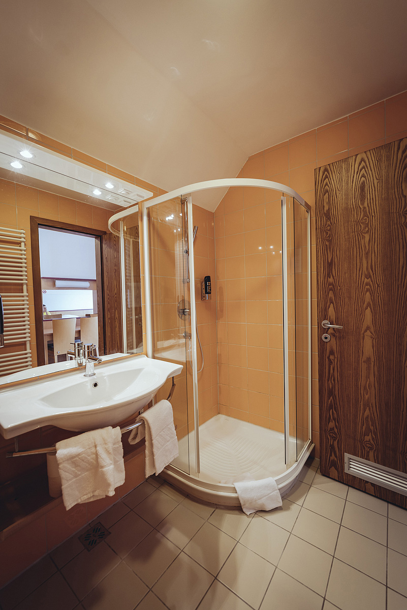 Forest Hotel Videc 12