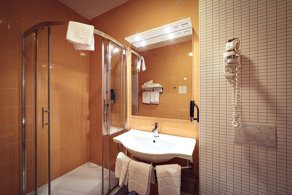 Forest Hotel Videc 13