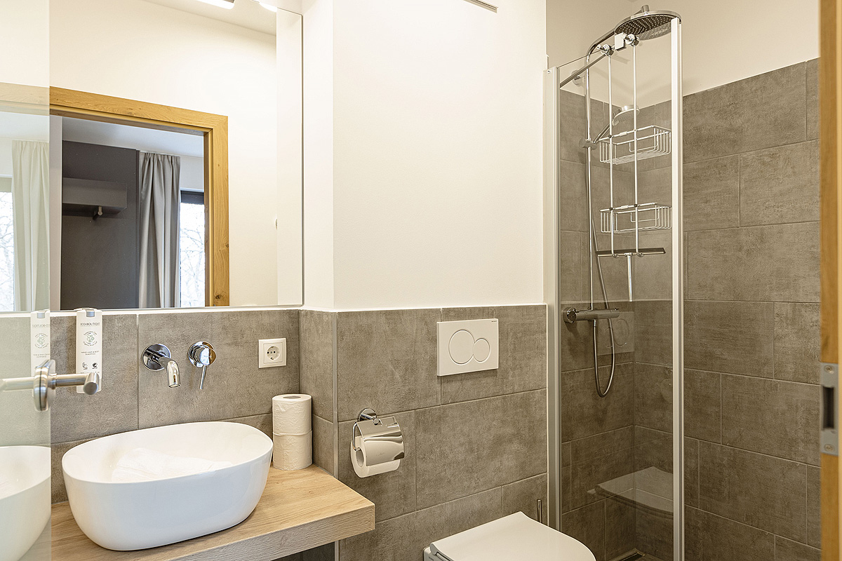 Hideaway Dachstein West by ALPS RESORTS  21