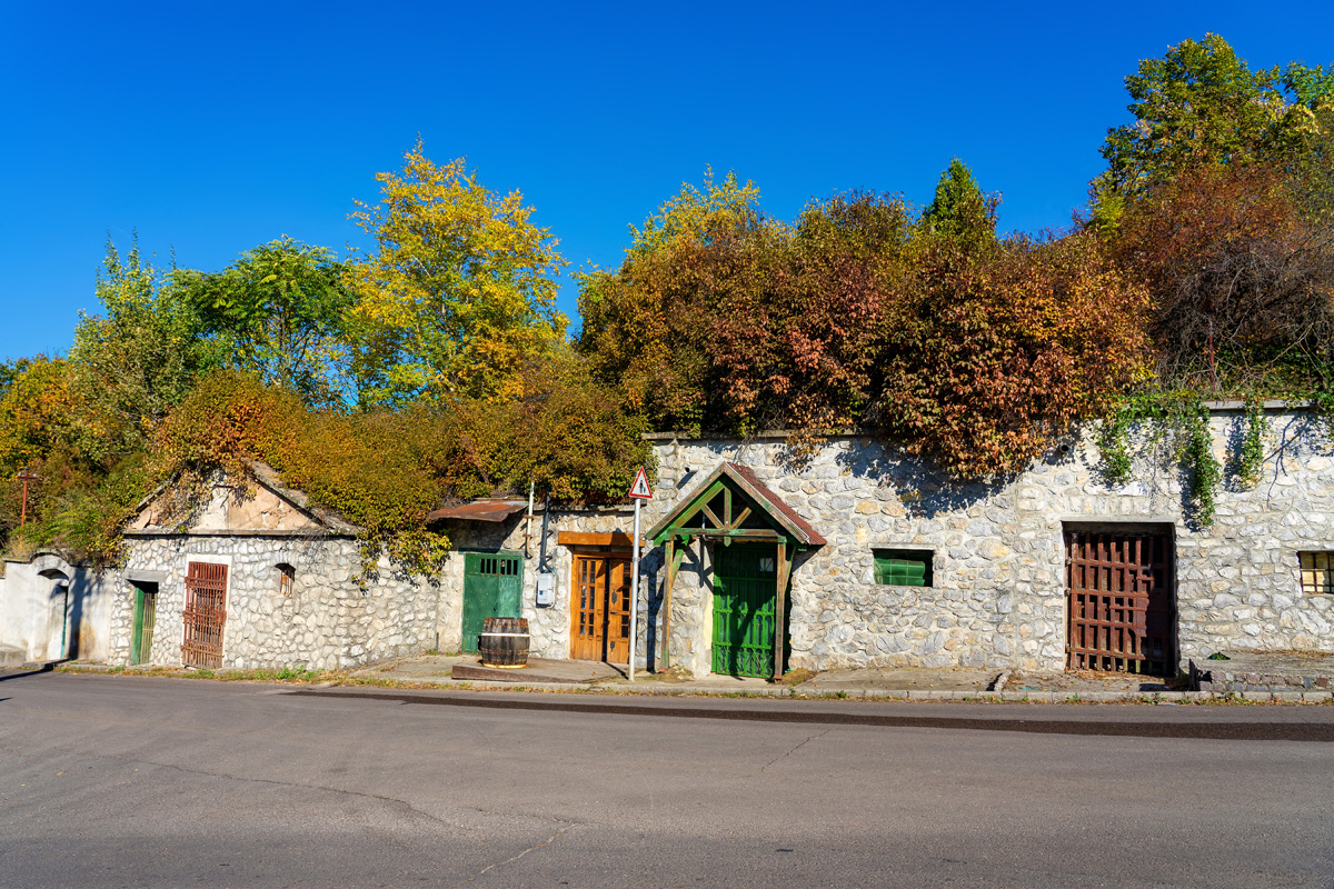 Hotel Flora advent autobusem 39