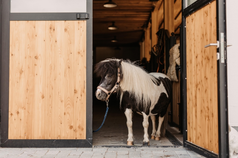 Hotel Gut Berg Naturhotel S