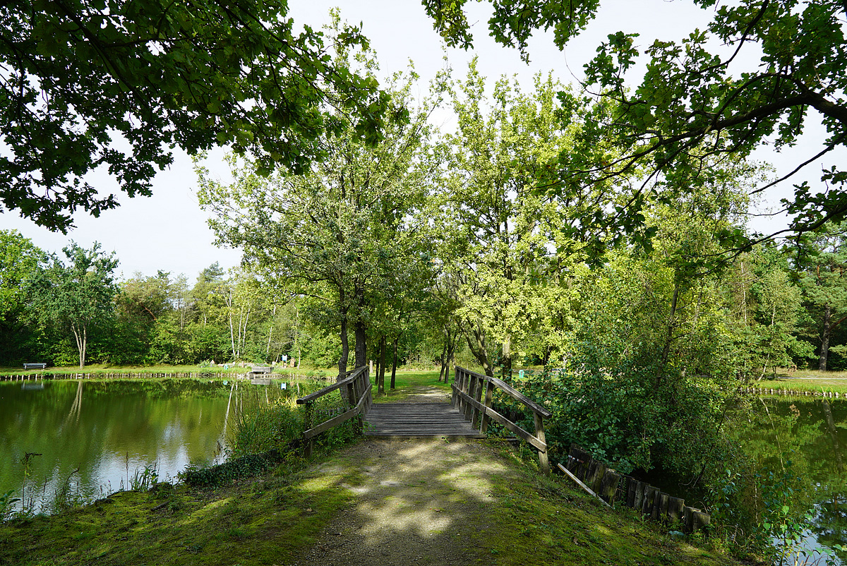 EuroParcs Zilverstrand 31