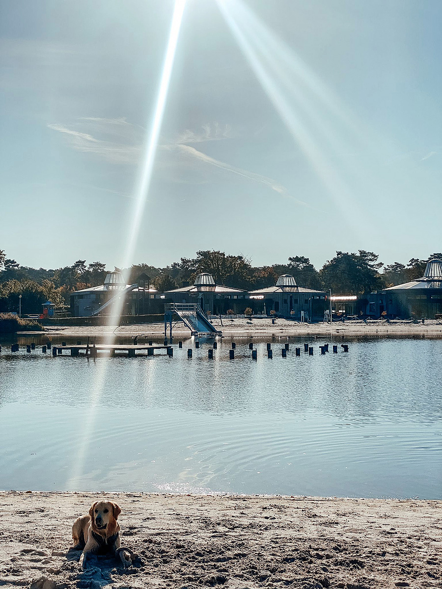 EuroParcs Zilverstrand 36