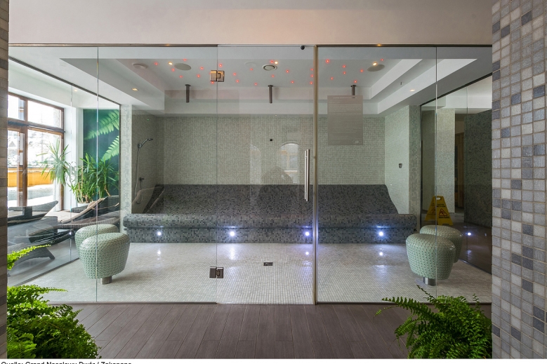 Hotel Hotel Grand Nosalowy Dwor