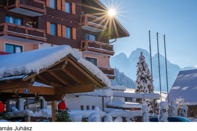 Hotel Vitalhotel Gosau  s all inclusive