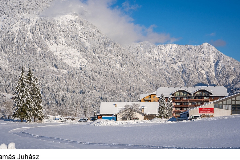 Hotel Vitalhotel Gosau  s all inclusive