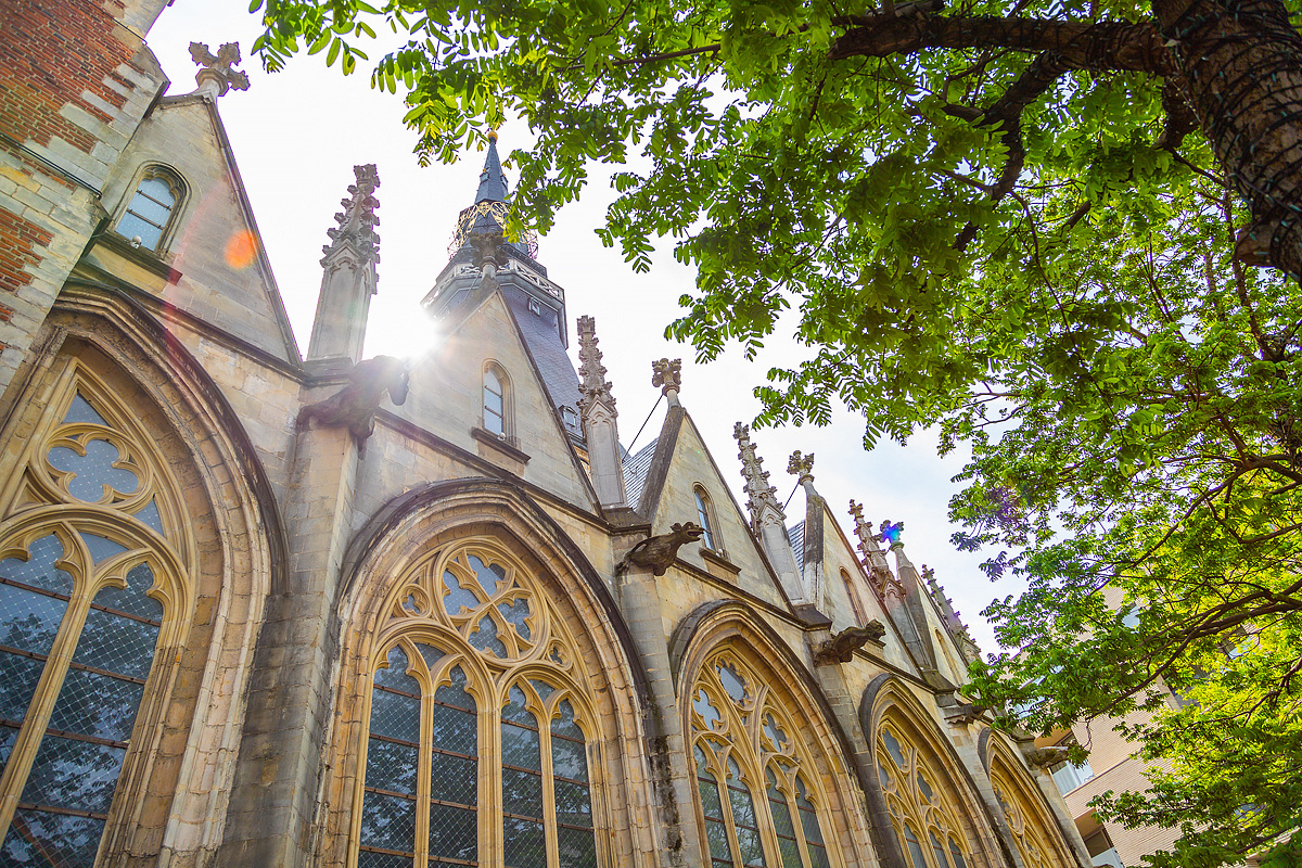 Europarcs Hoge Kempen 38