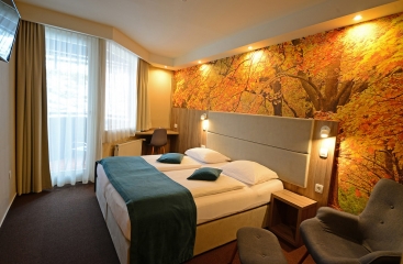 Hotel Alpina se skipasem ***