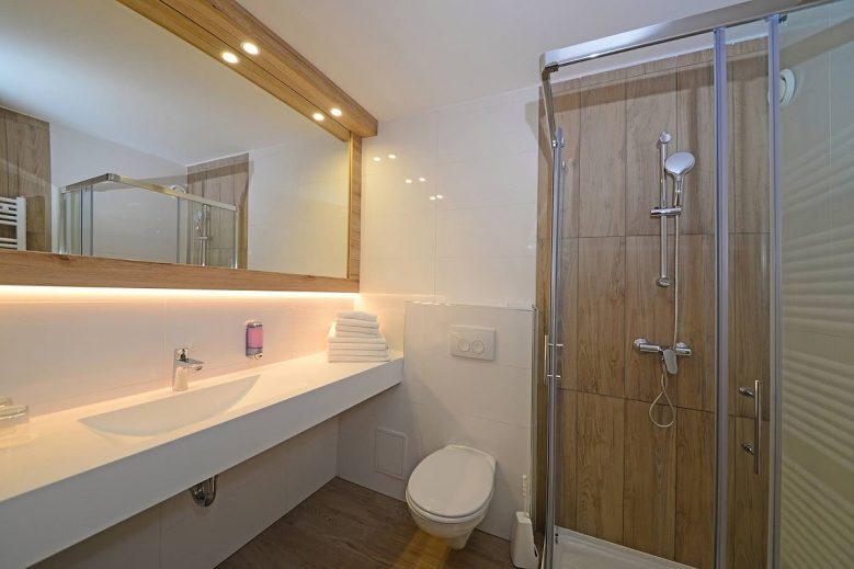 Hotel Hotel Alpina se skipasem