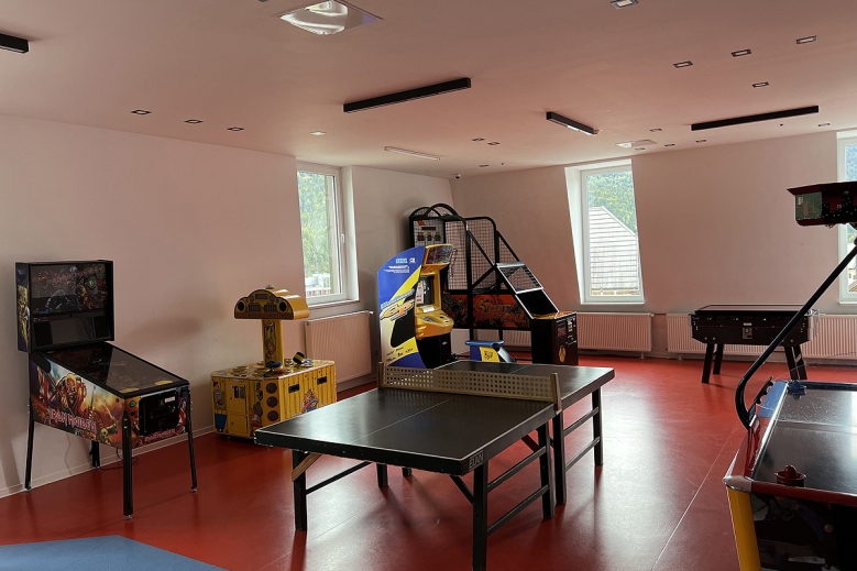 Hotel Hotel Alpina se skipasem