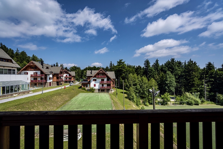 Hotel Forest Apartmány Videc