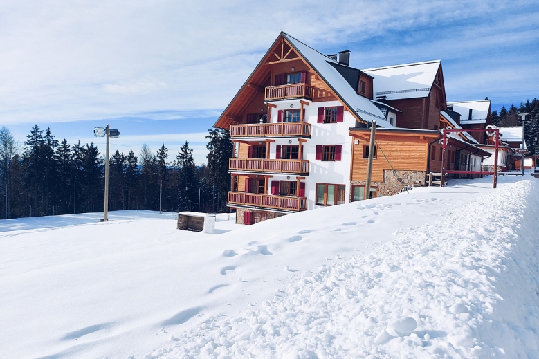 Hotel Forest Apartmány Videc