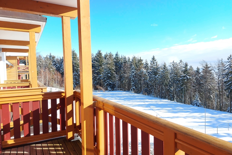 Hotel Forest Apartmány Videc