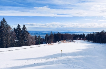 Forest Apartmny Videc ***