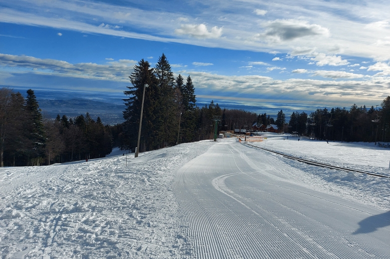 Hotel Forest Apartmány Videc