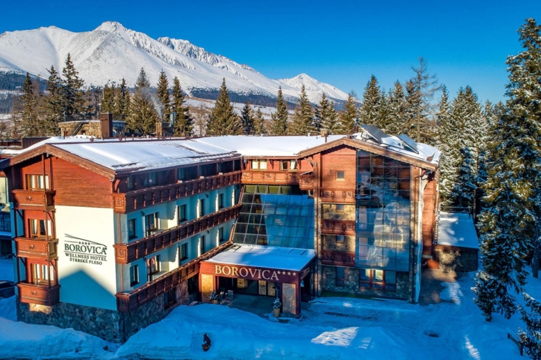 Hotel Wellness Hotel Borovica