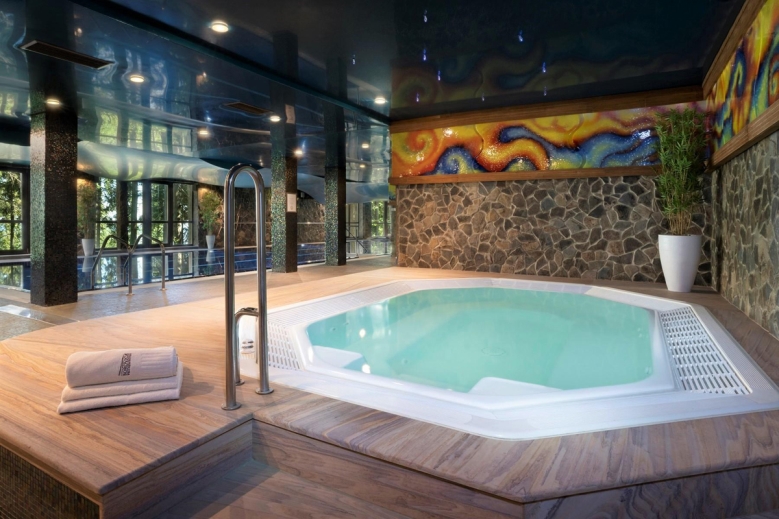 Hotel Wellness Hotel Borovica