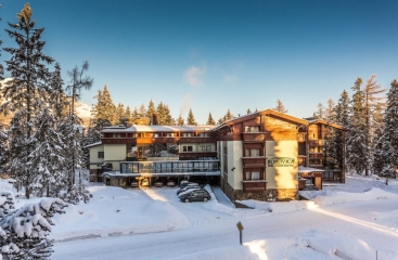 Wellness Hotel Borovica ****