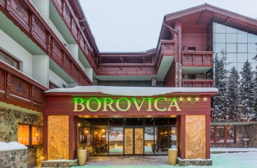 Wellness Hotel Borovica ****